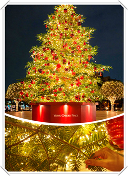 時計広場のクリスマスツリー